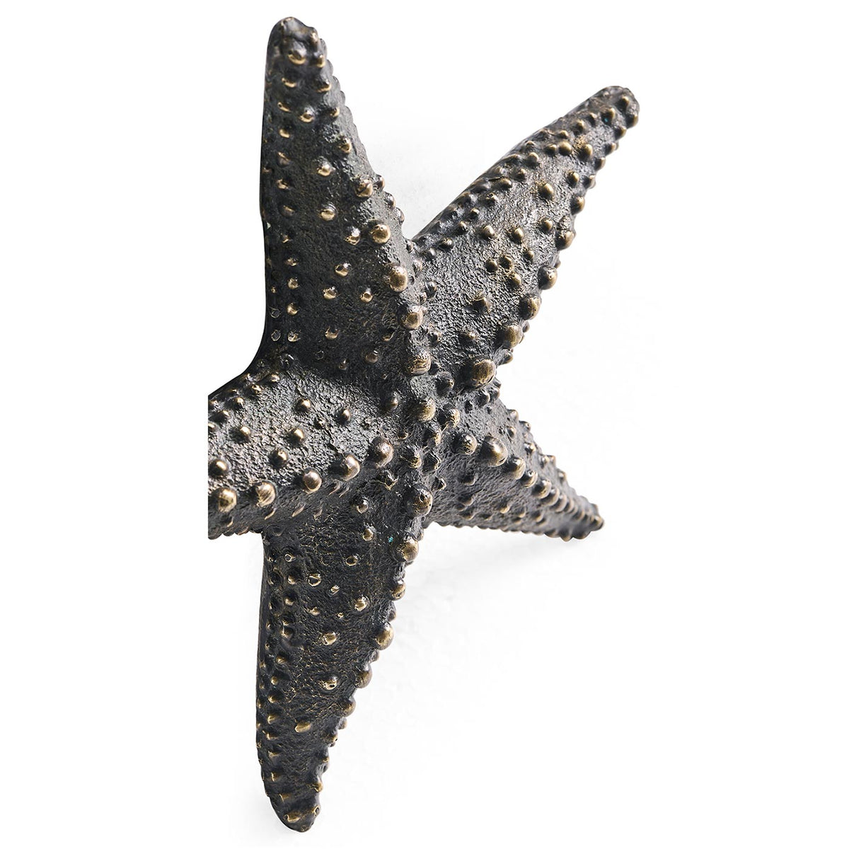 Dark Bronze Starfish