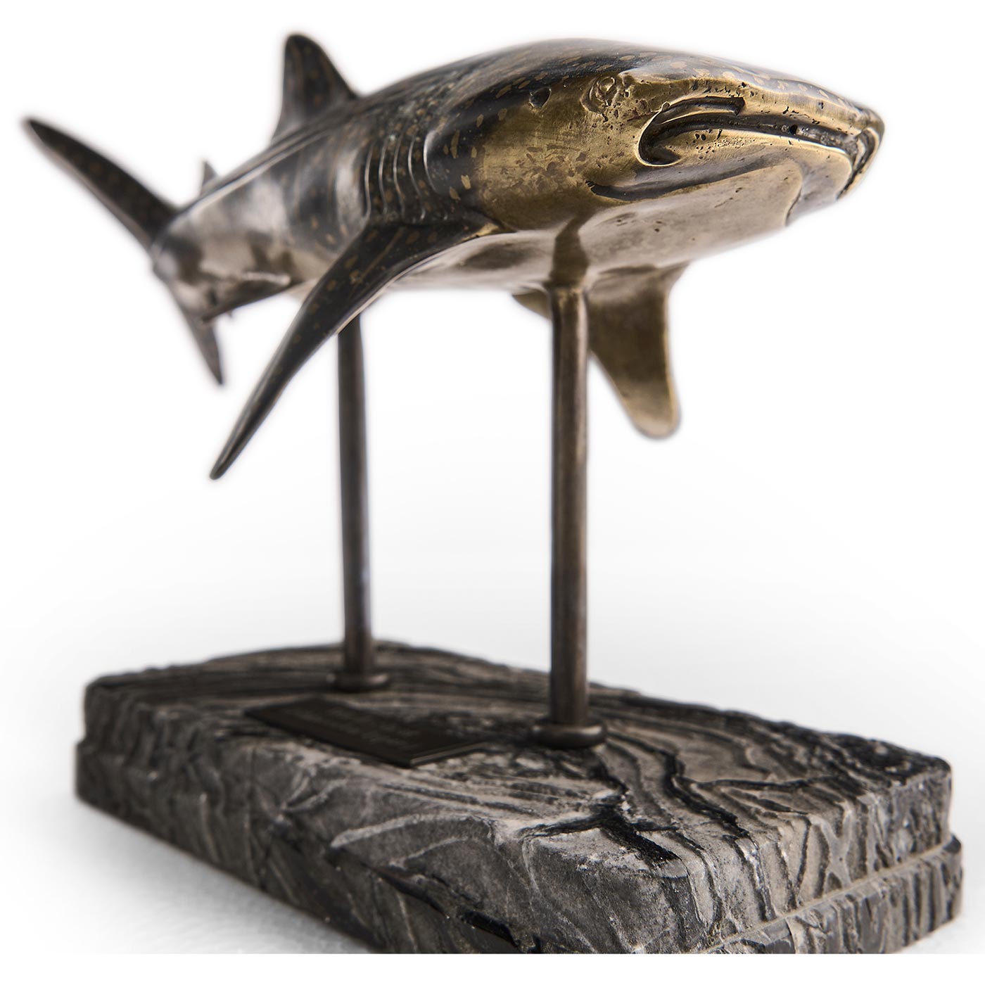 Whale Shark Bronze Statue with Marble Base