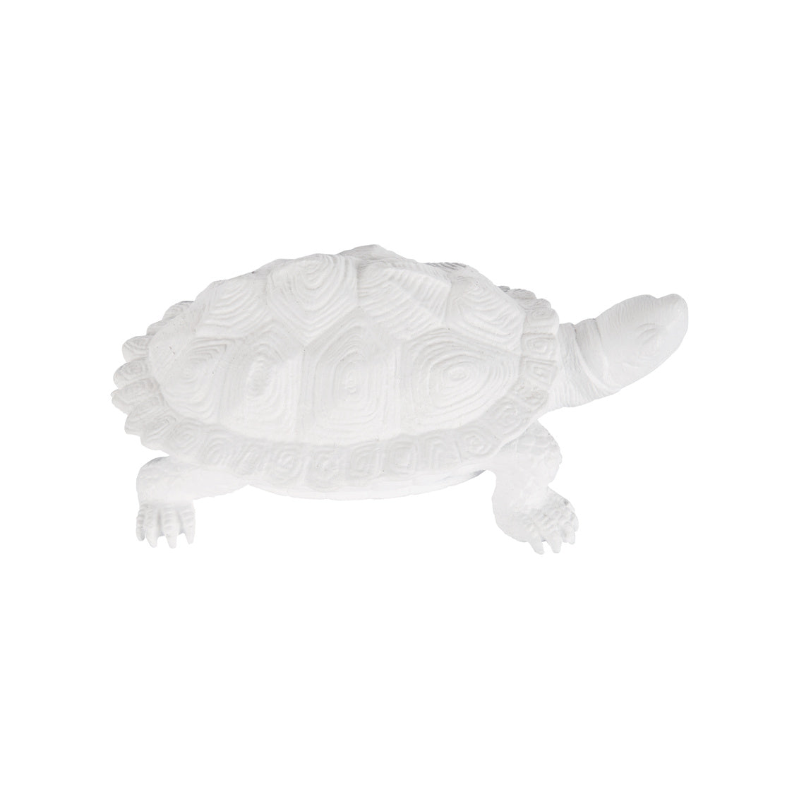 Turtle - White in White / Metal - Chelsea House