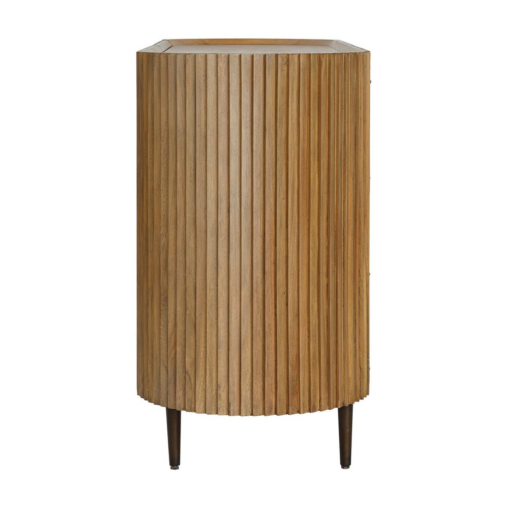 Reese 2 Door Cabinet