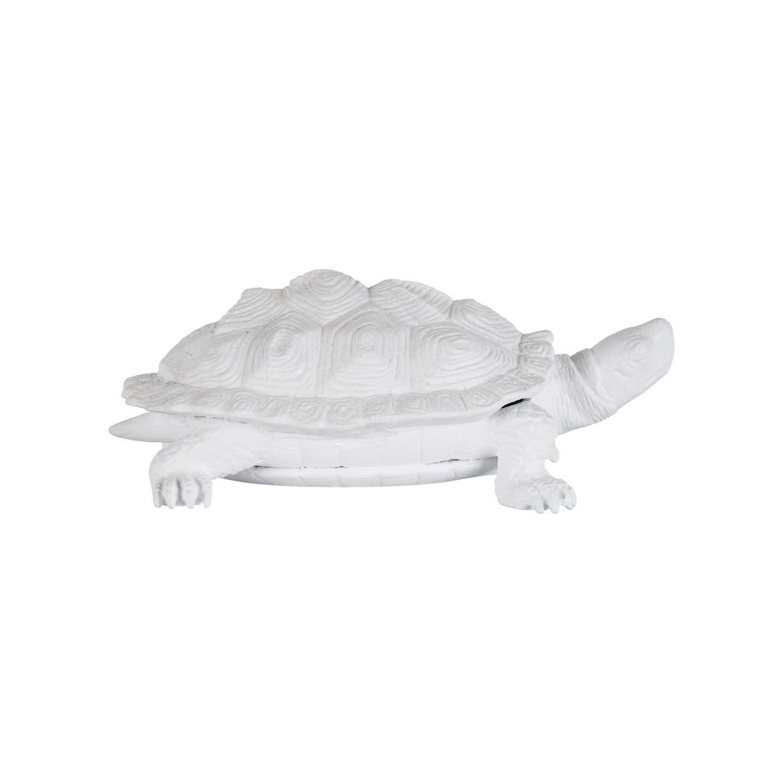 Turtle - White in White / Metal - Chelsea House