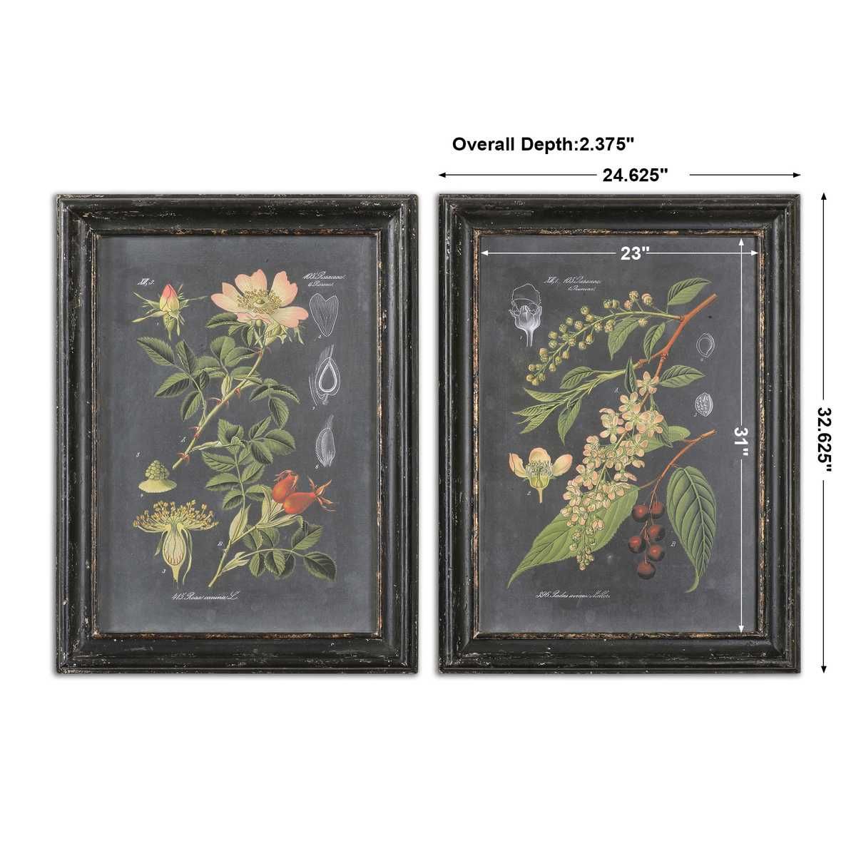 Midnight Botanicals Framed Prints, S/2 – Art by Uttermost | Sutter & Vale