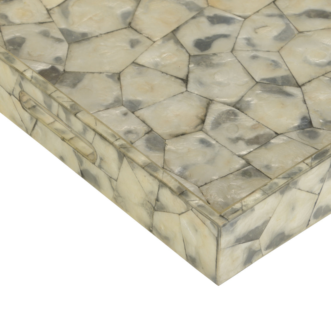 Shell Shock Tray