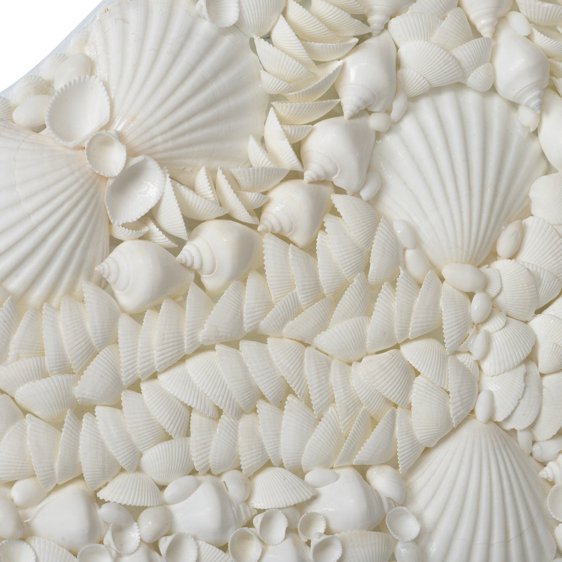 Shell Mirror in 49 / Nassa Shell - Chelsea House