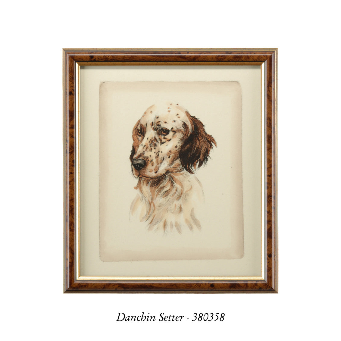 Danchin Pointer