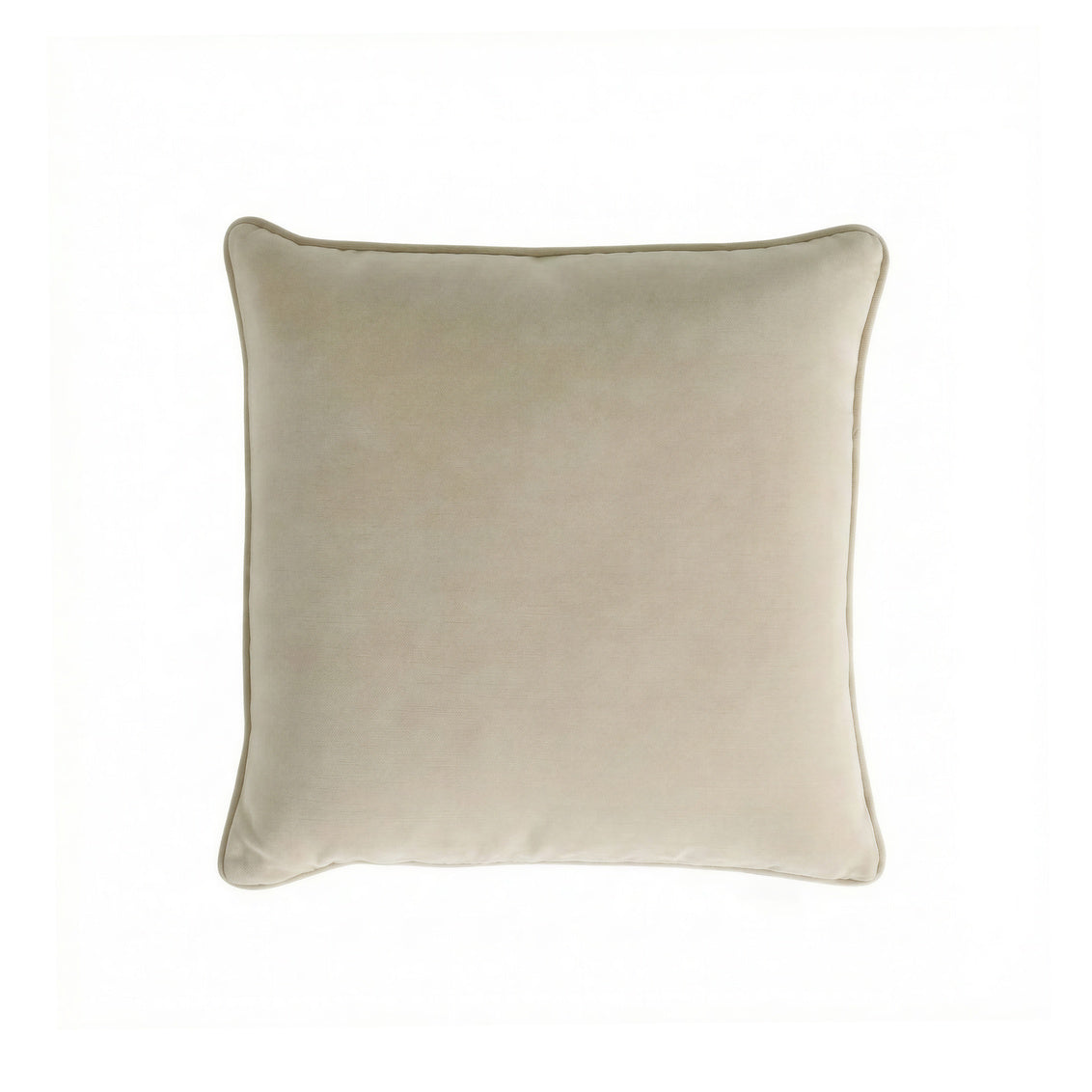 Plush Velvet Oatmeal 22x22