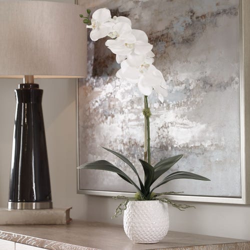 Cami Orchid