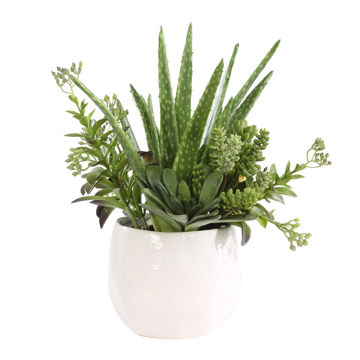 Sundown Succulent Accent