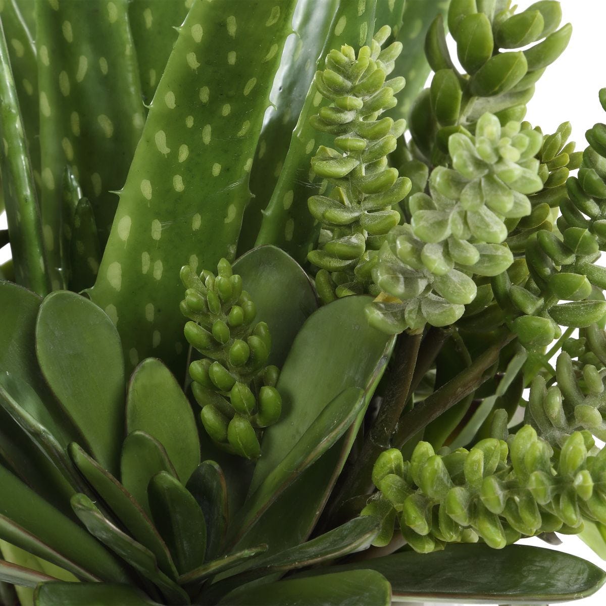 Sundown Succulent Accent