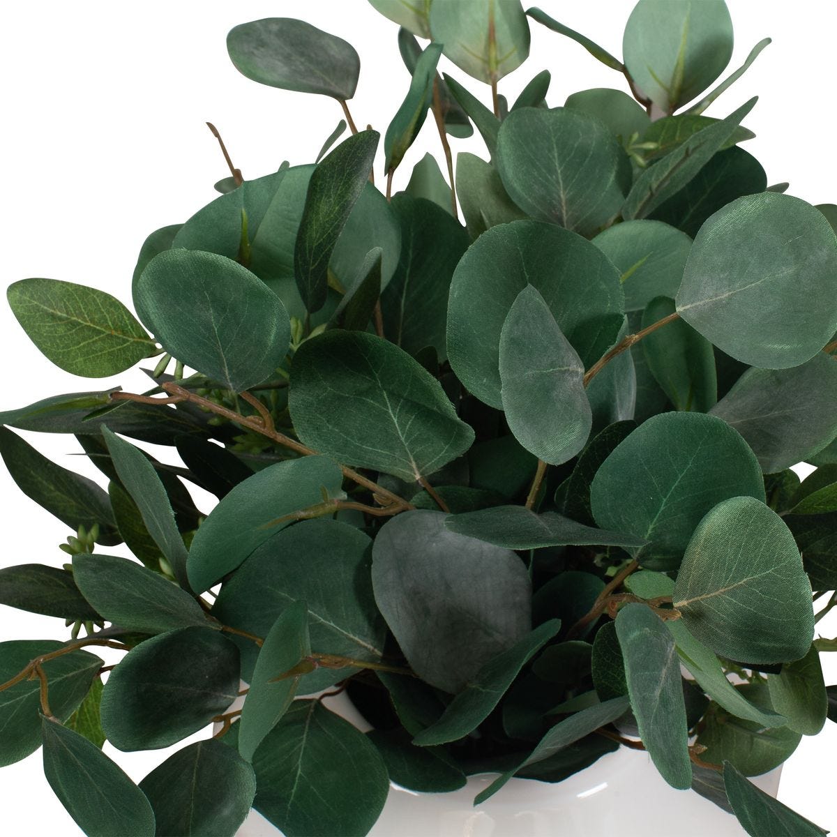 Essence Eucalyptus Accent