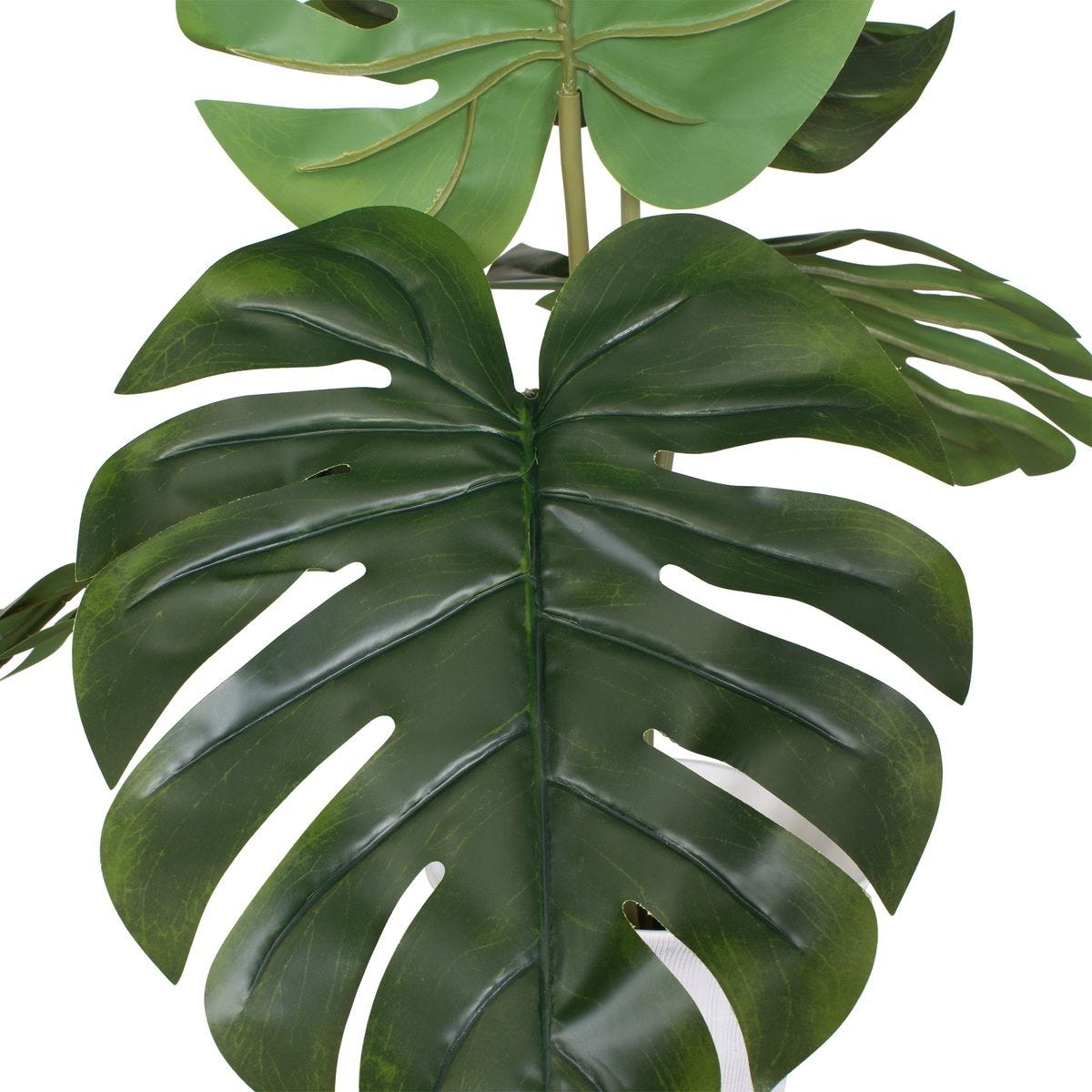 Muse Monstera Centerpiece