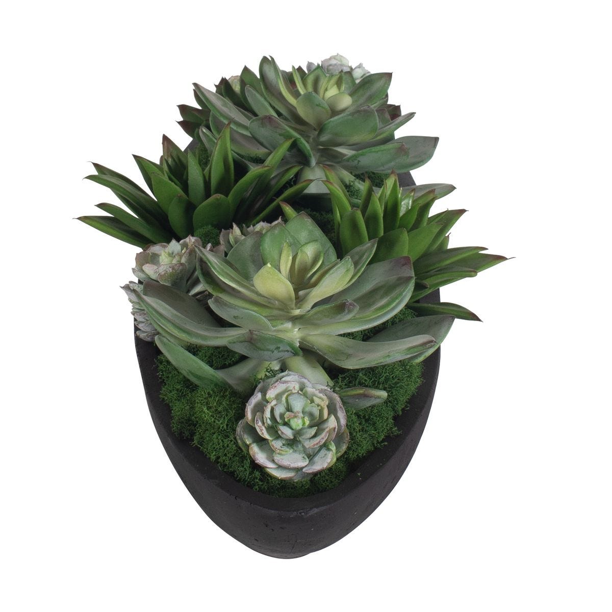 Verde Succulent Centerpiece, Black