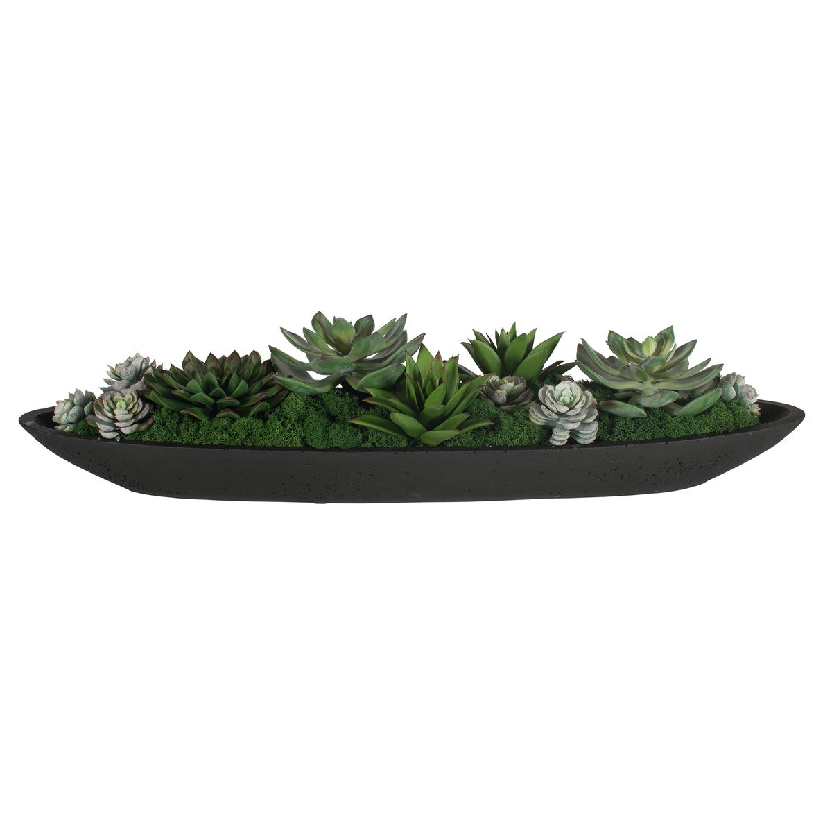Verde Succulent Centerpiece, Black