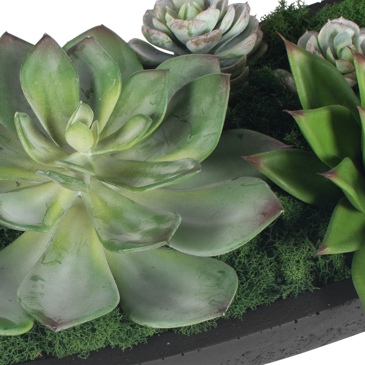 Verde Succulent Centerpiece, Black