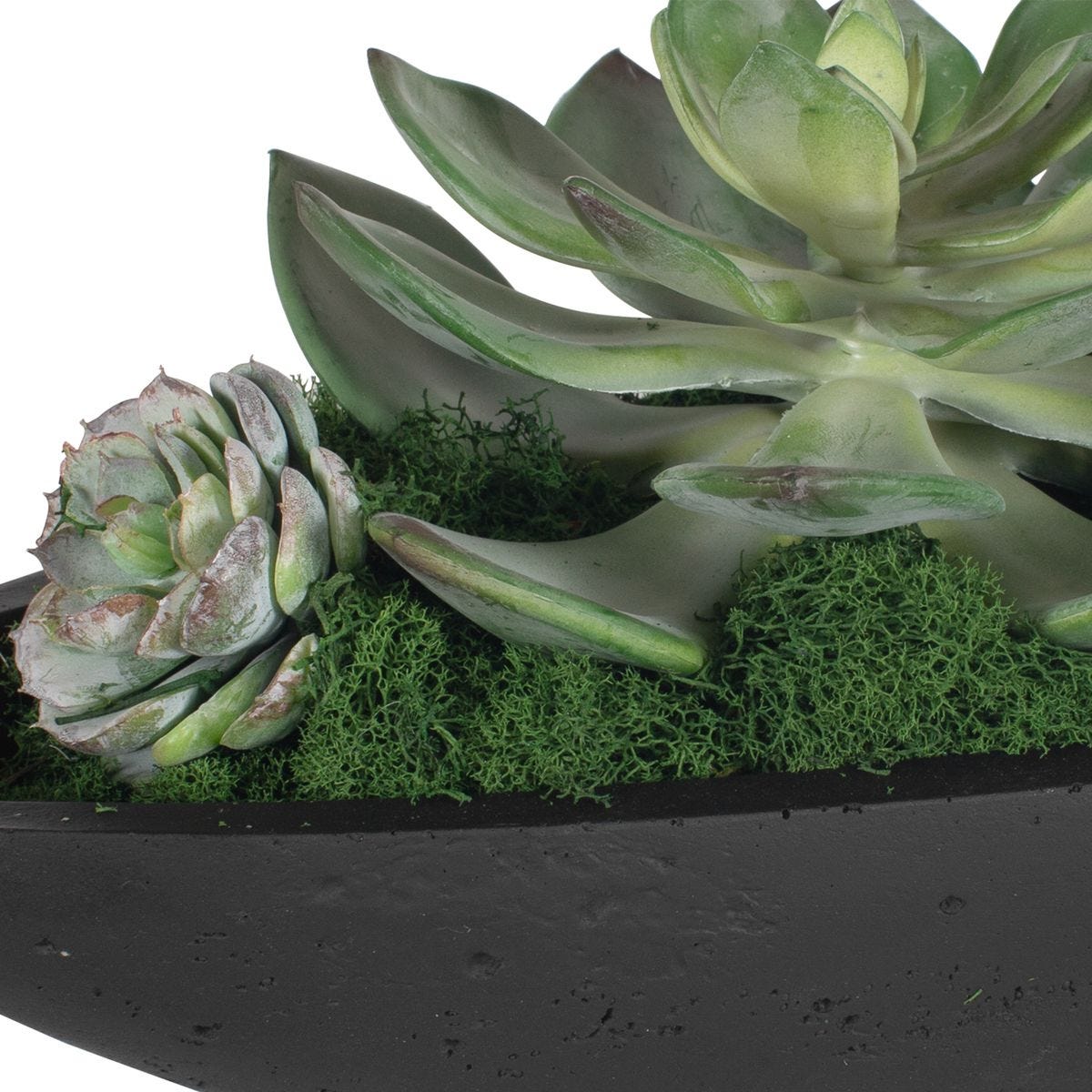 Verde Succulent Centerpiece, Black