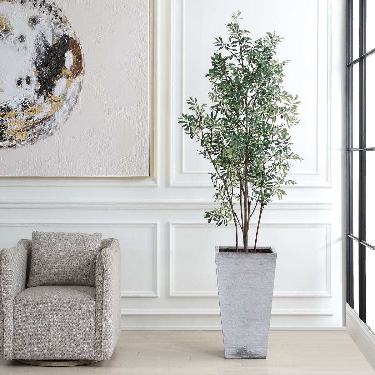 Sonora Olive Tree