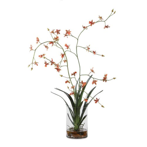 Dancing Orchid