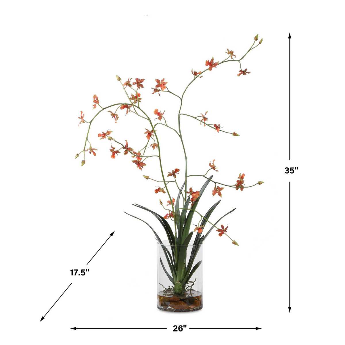 Dancing Orchid