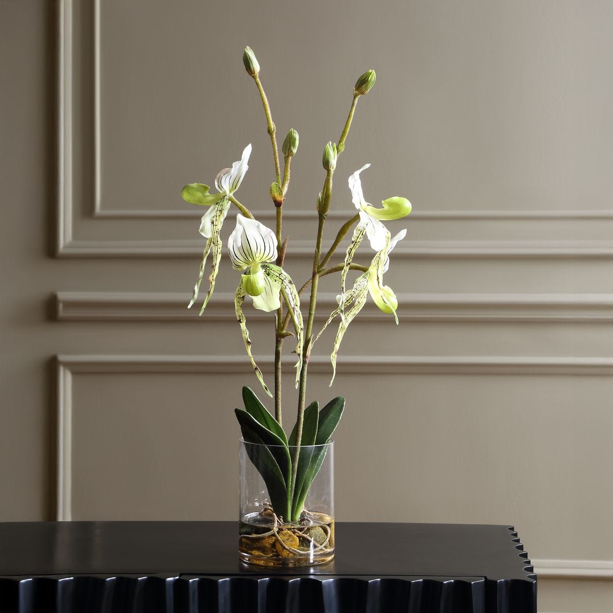 Lady Slipper Orchid