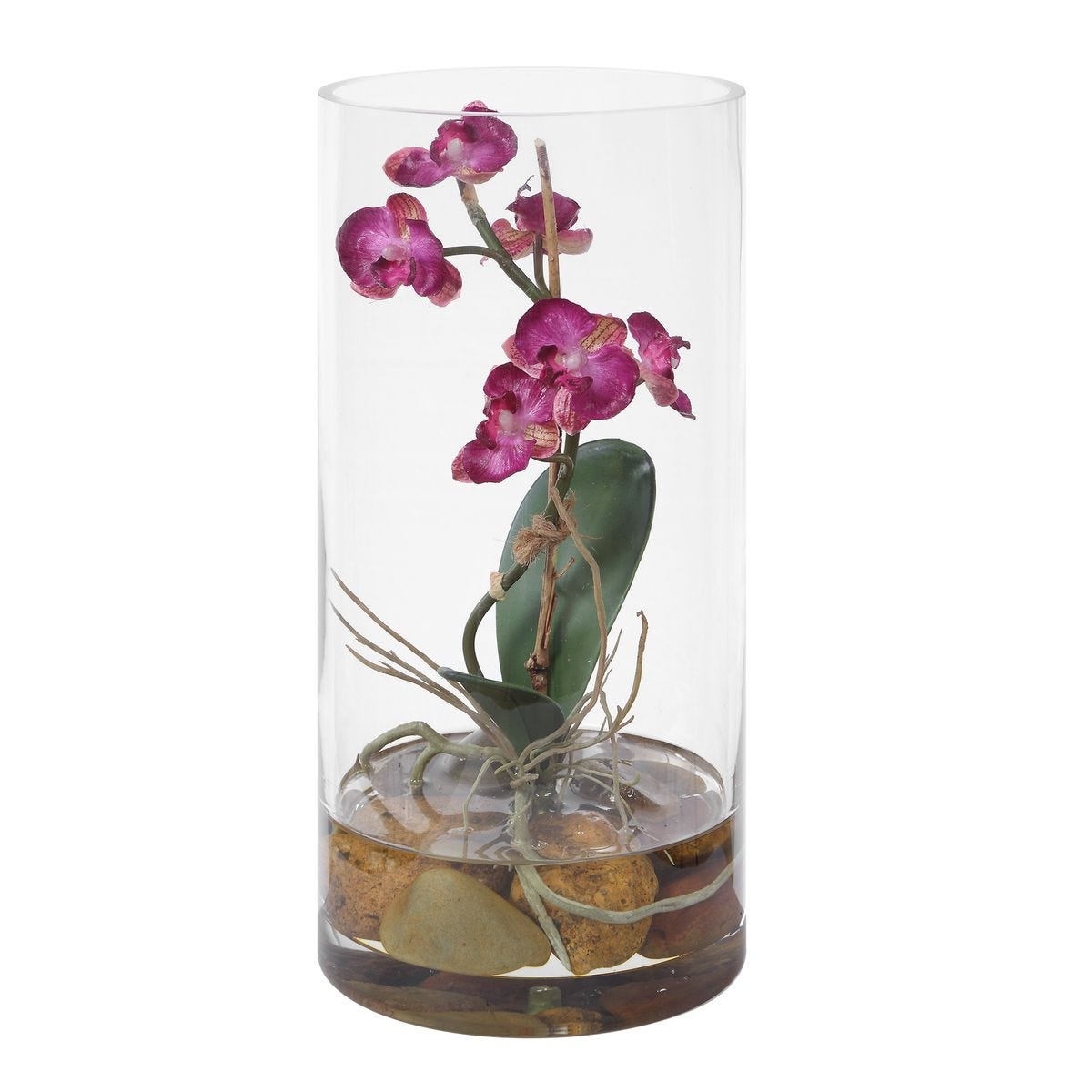Mariposa Orchid, Fuchsia