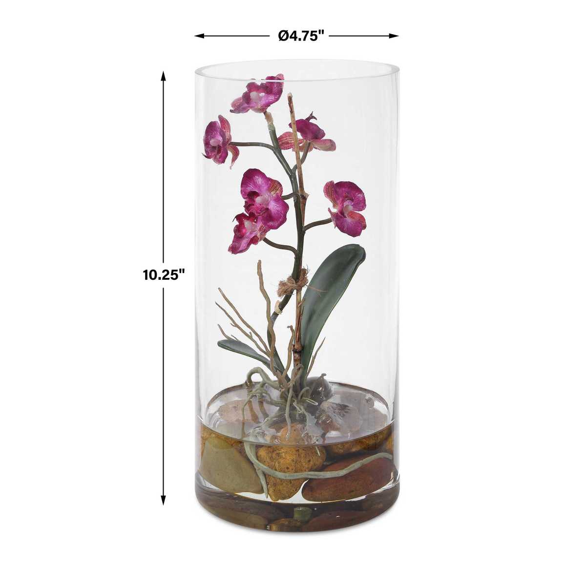 Mariposa Orchid, Fuchsia