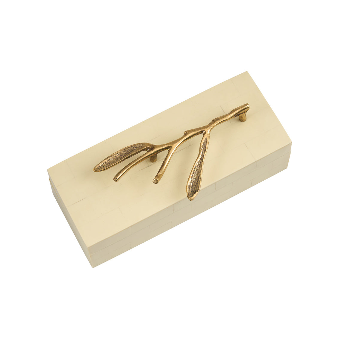 Branch Box