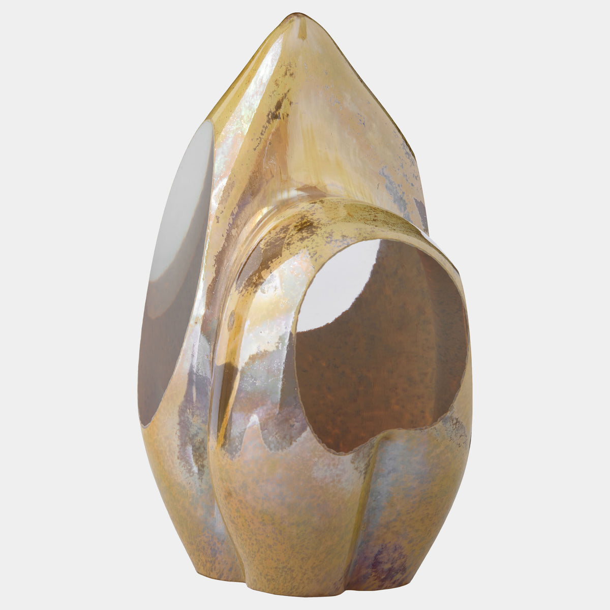 Abstract Sculpture-Iris Gelp