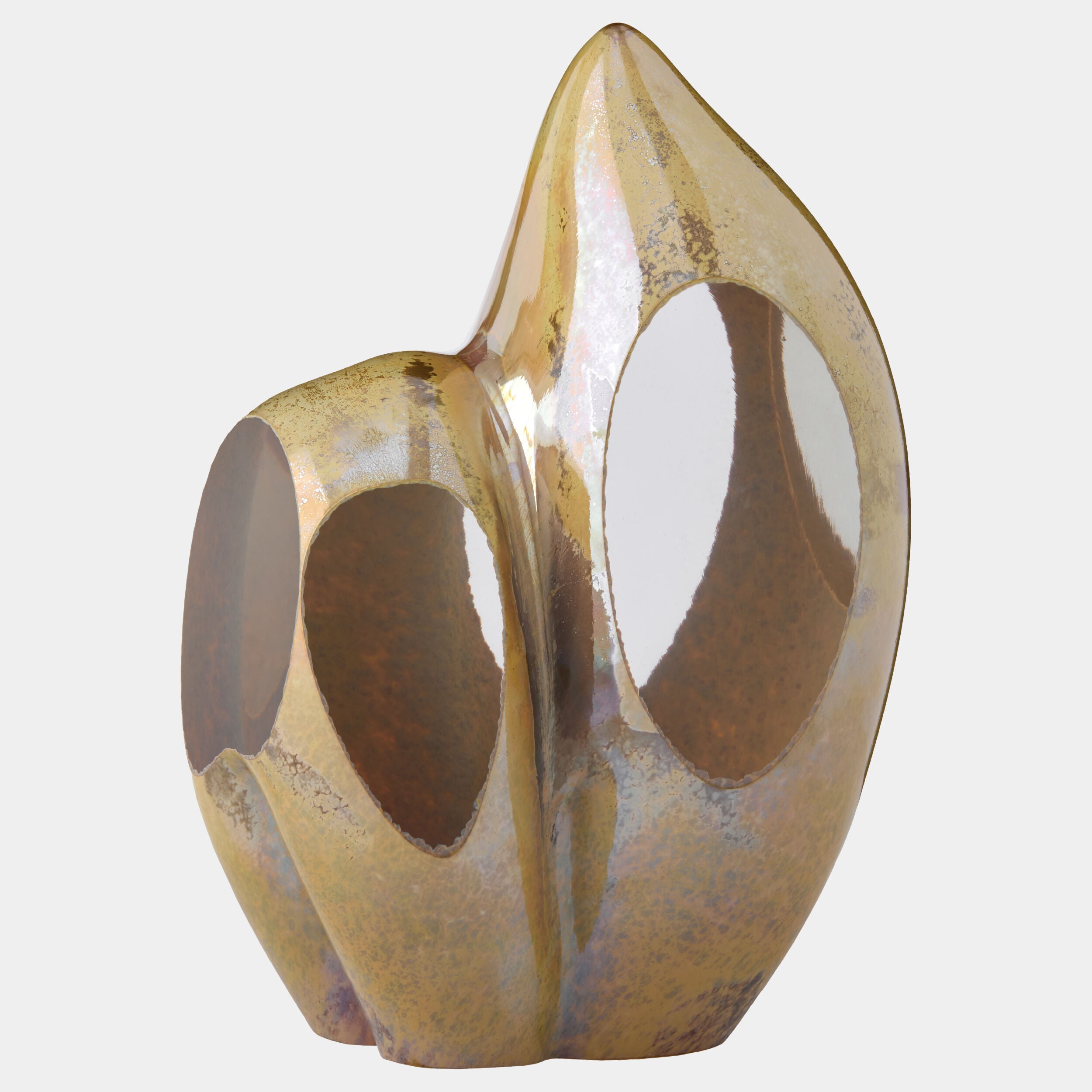 Abstract Sculpture-Iris Gelp