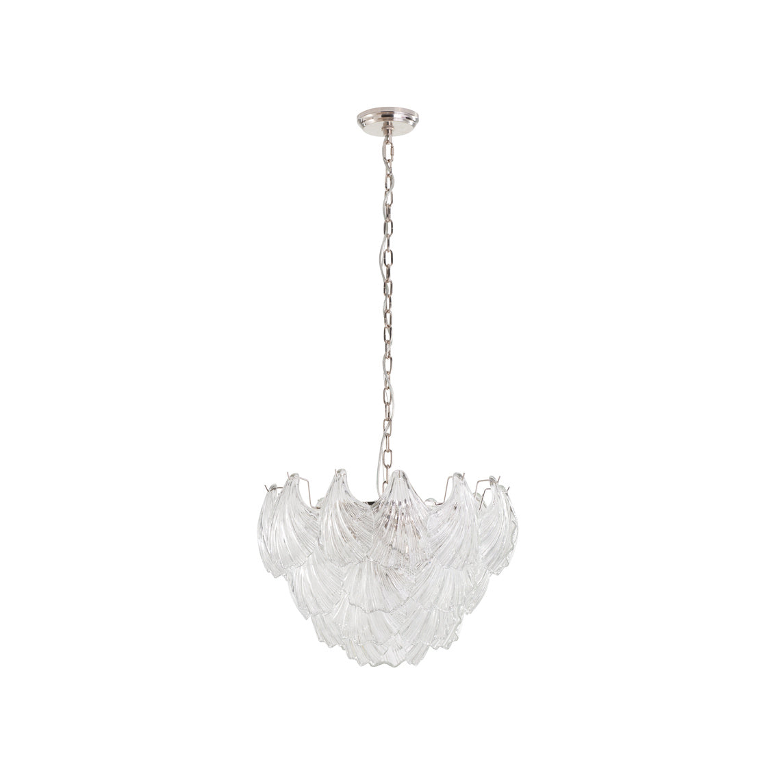Shell Chandelier in 17 / Metal - Chelsea House