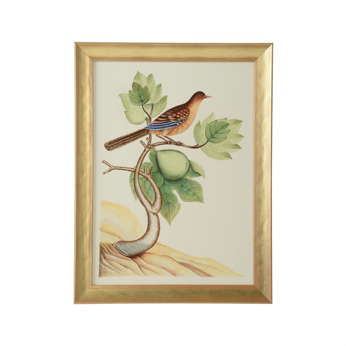 Watercolor Birds A