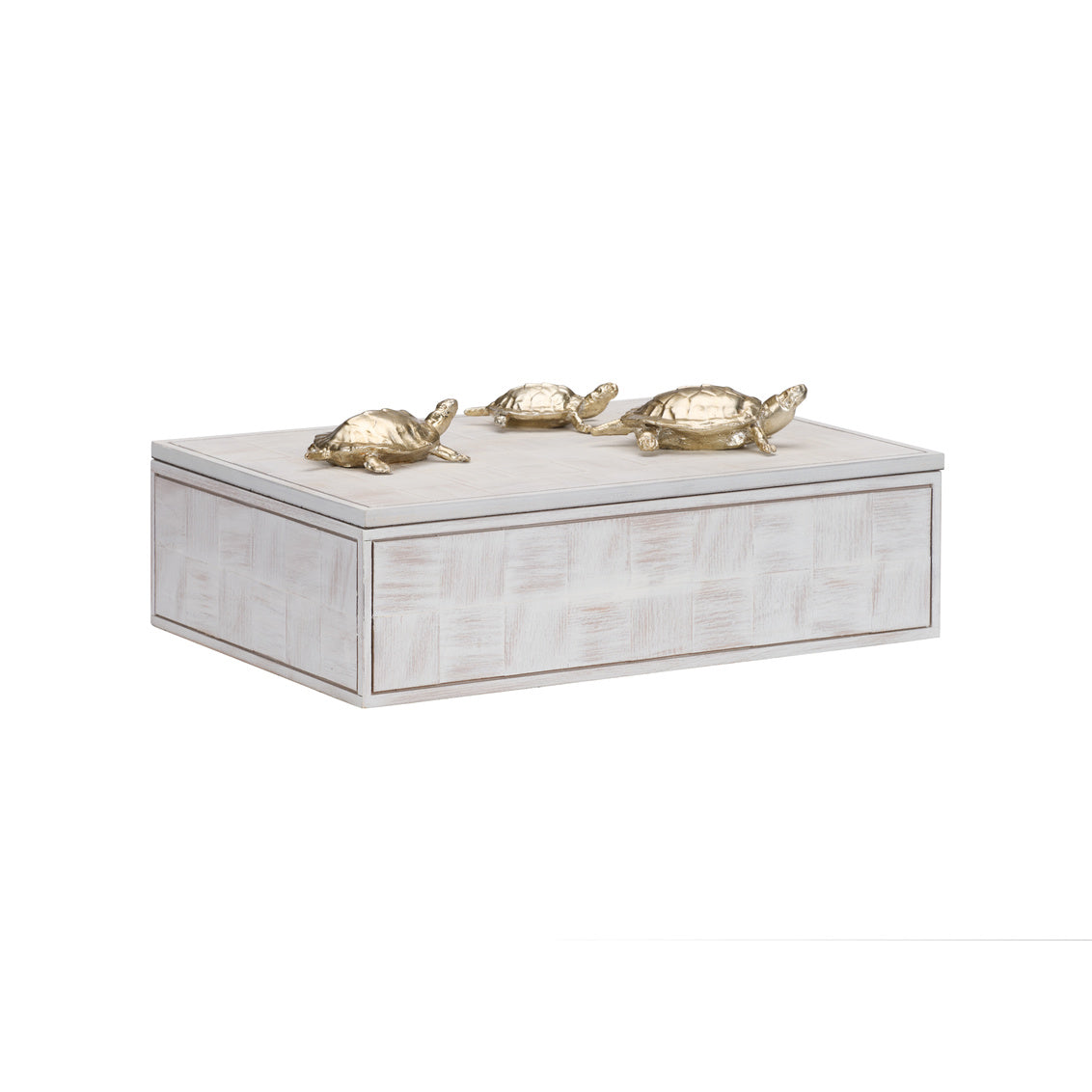Tortoise Family Box