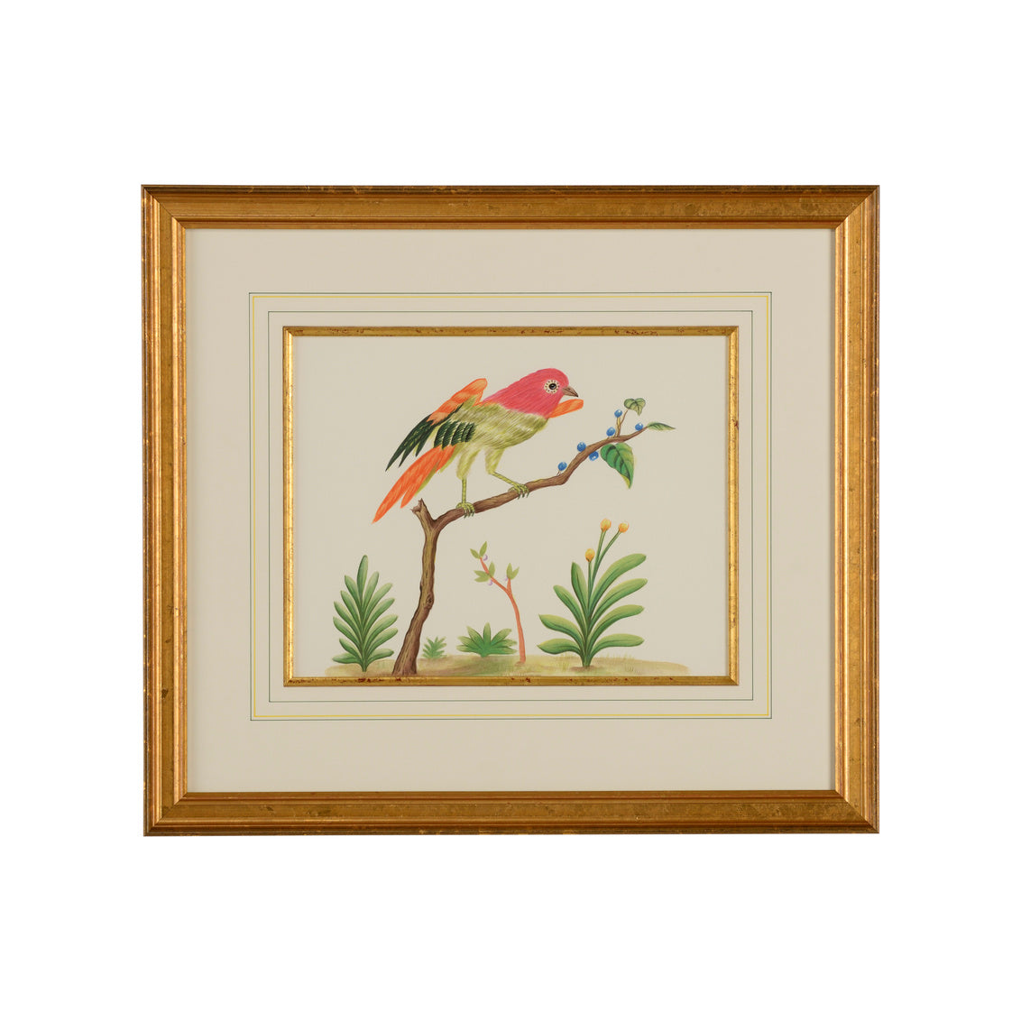 Multicolor Bird