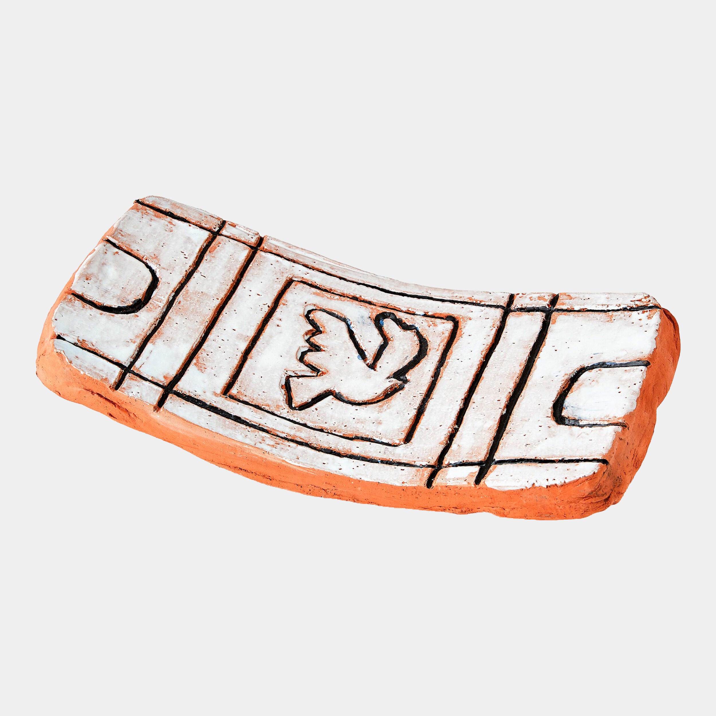 Paradise Platter-Bird