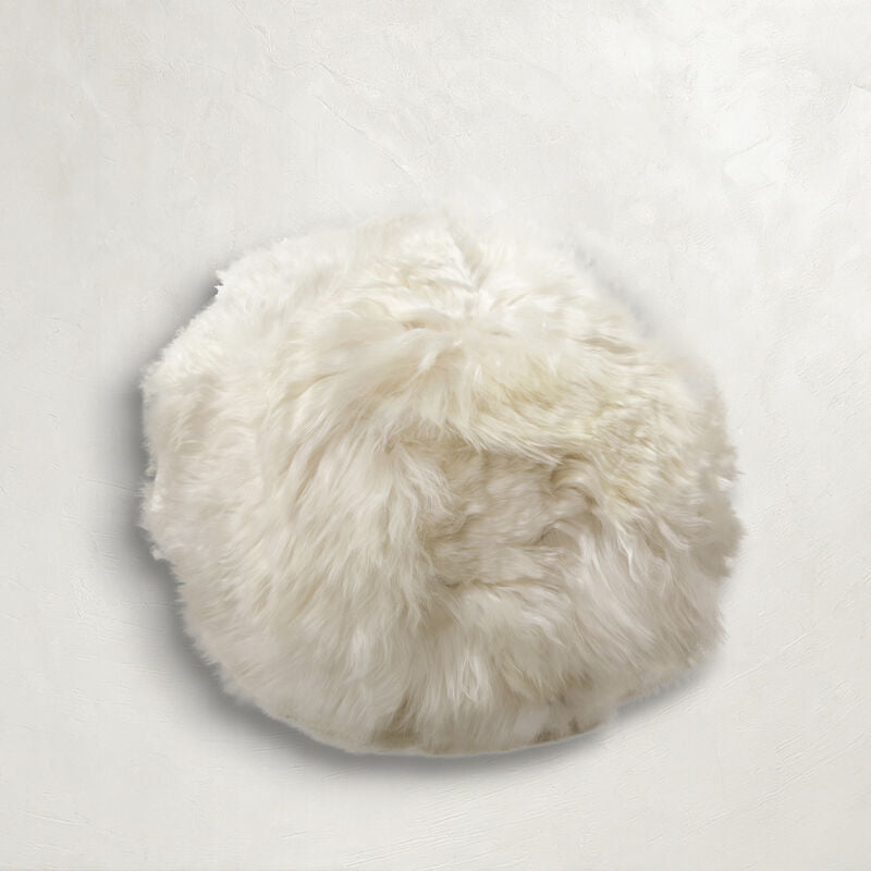 Alpaca Silver Feather 22x22