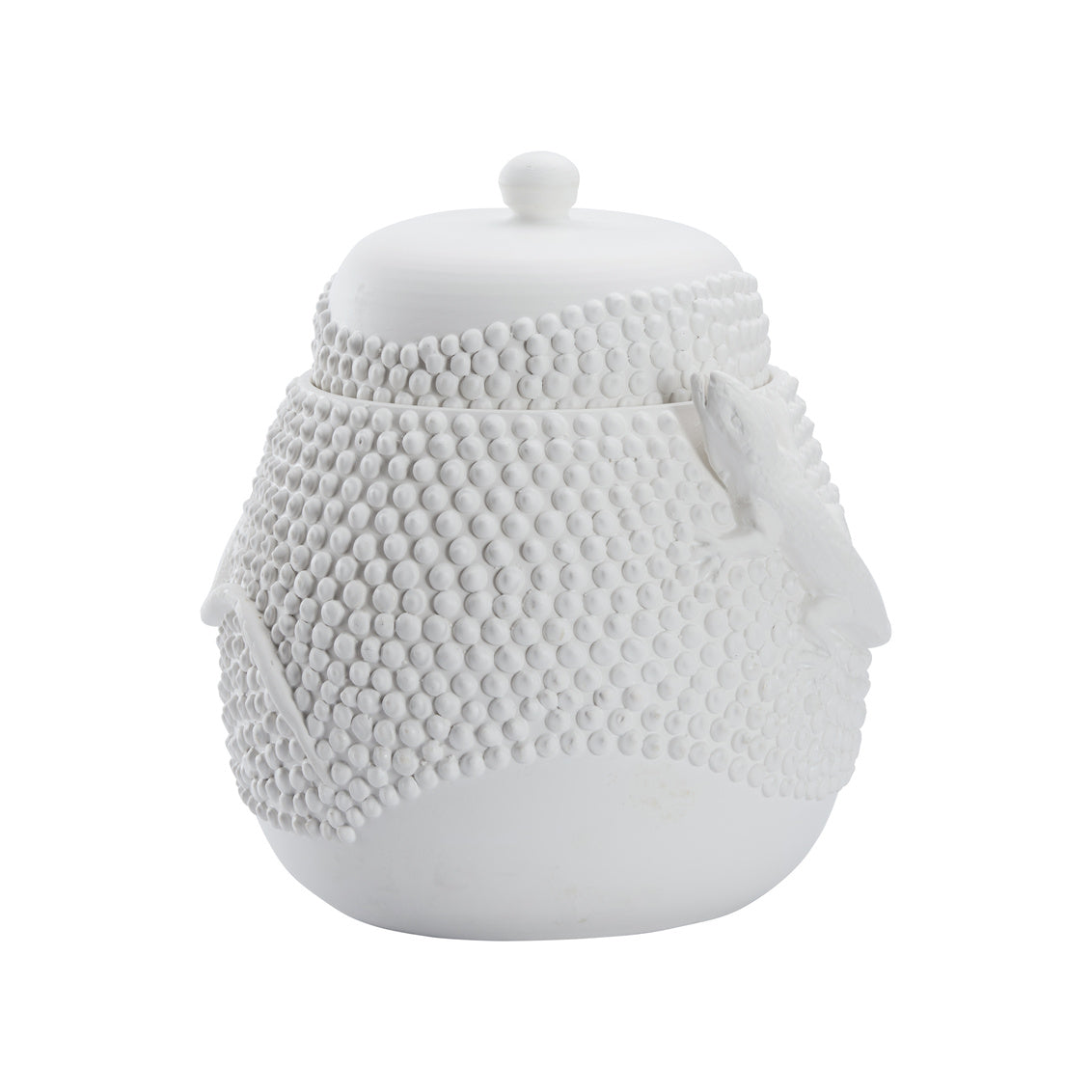 Anolis Canister - White