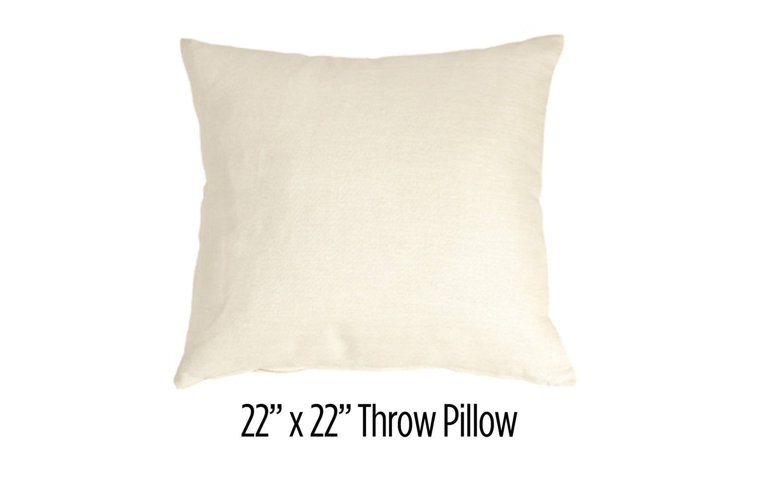 22' Throw Pillow