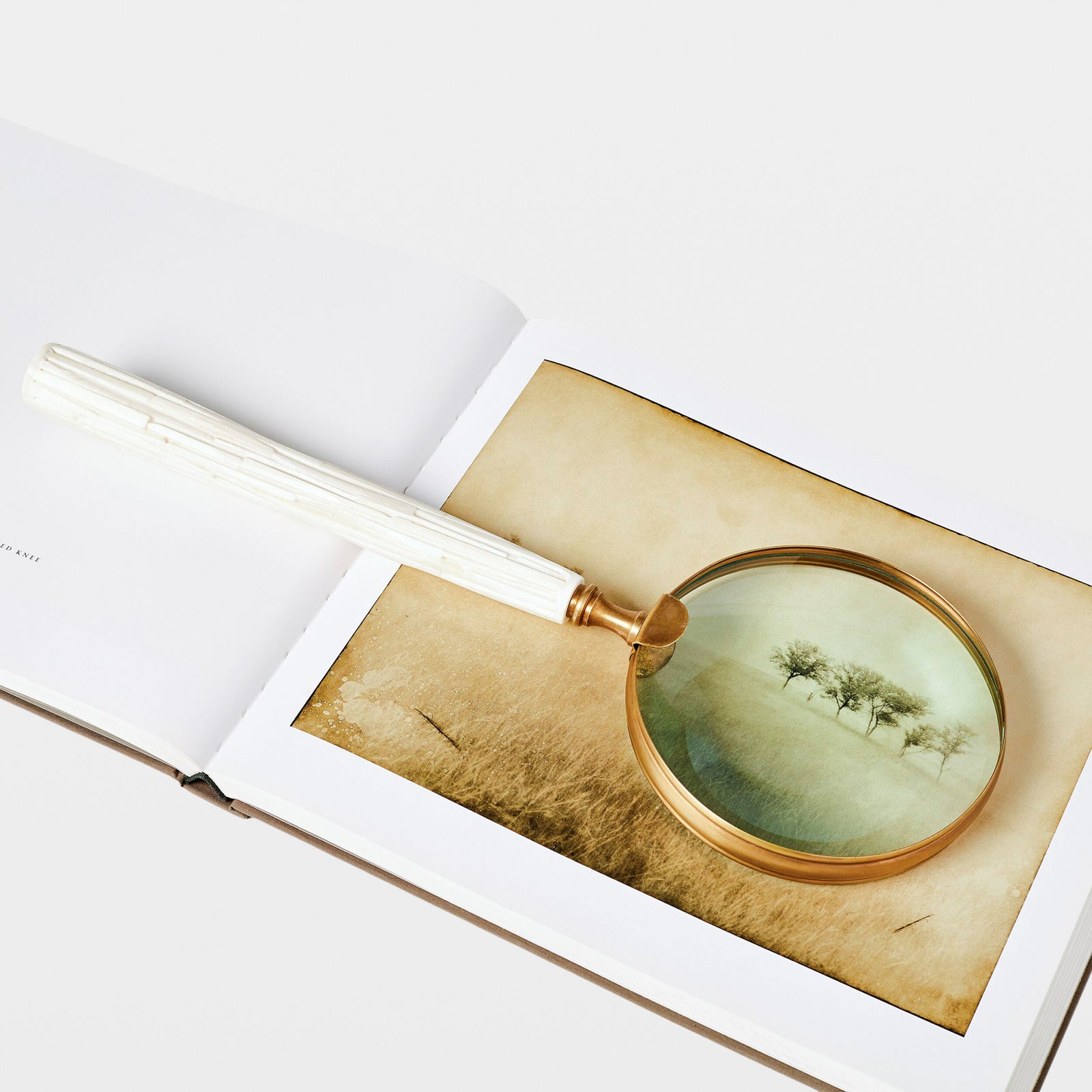 Elend Chiseled Bone Magnifying Glass
