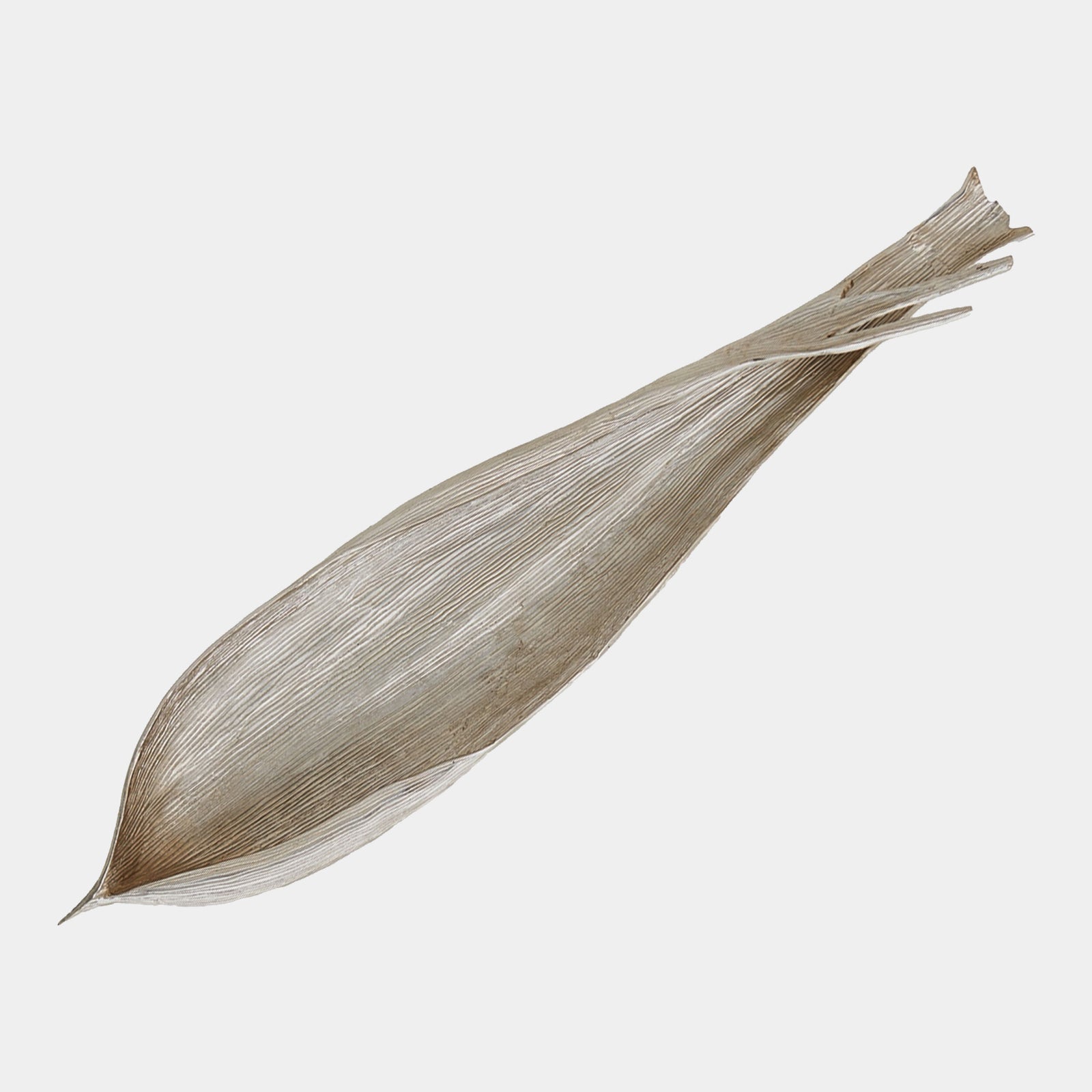 Palm Seed Pod-Nickel