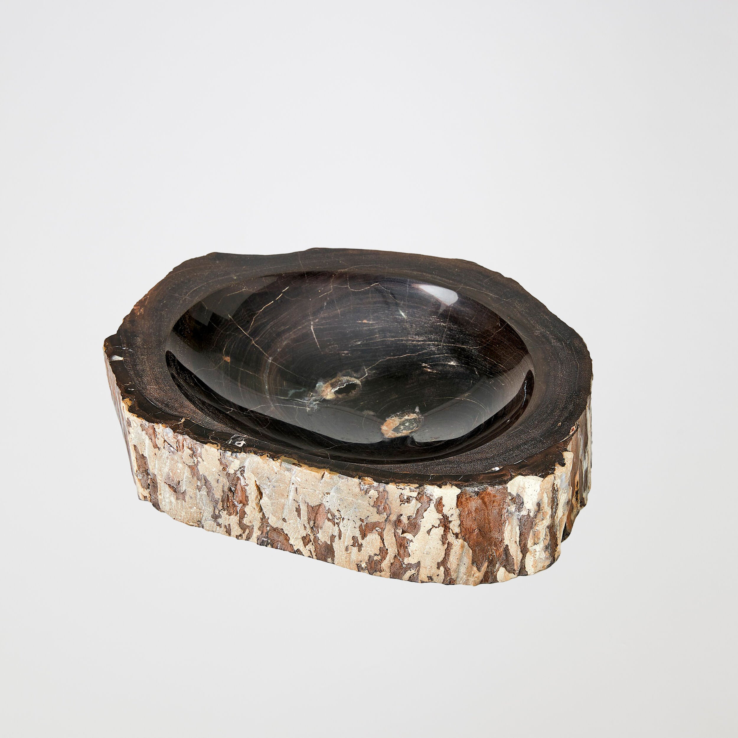 Petrified Wooden Bowl-Black/Brown