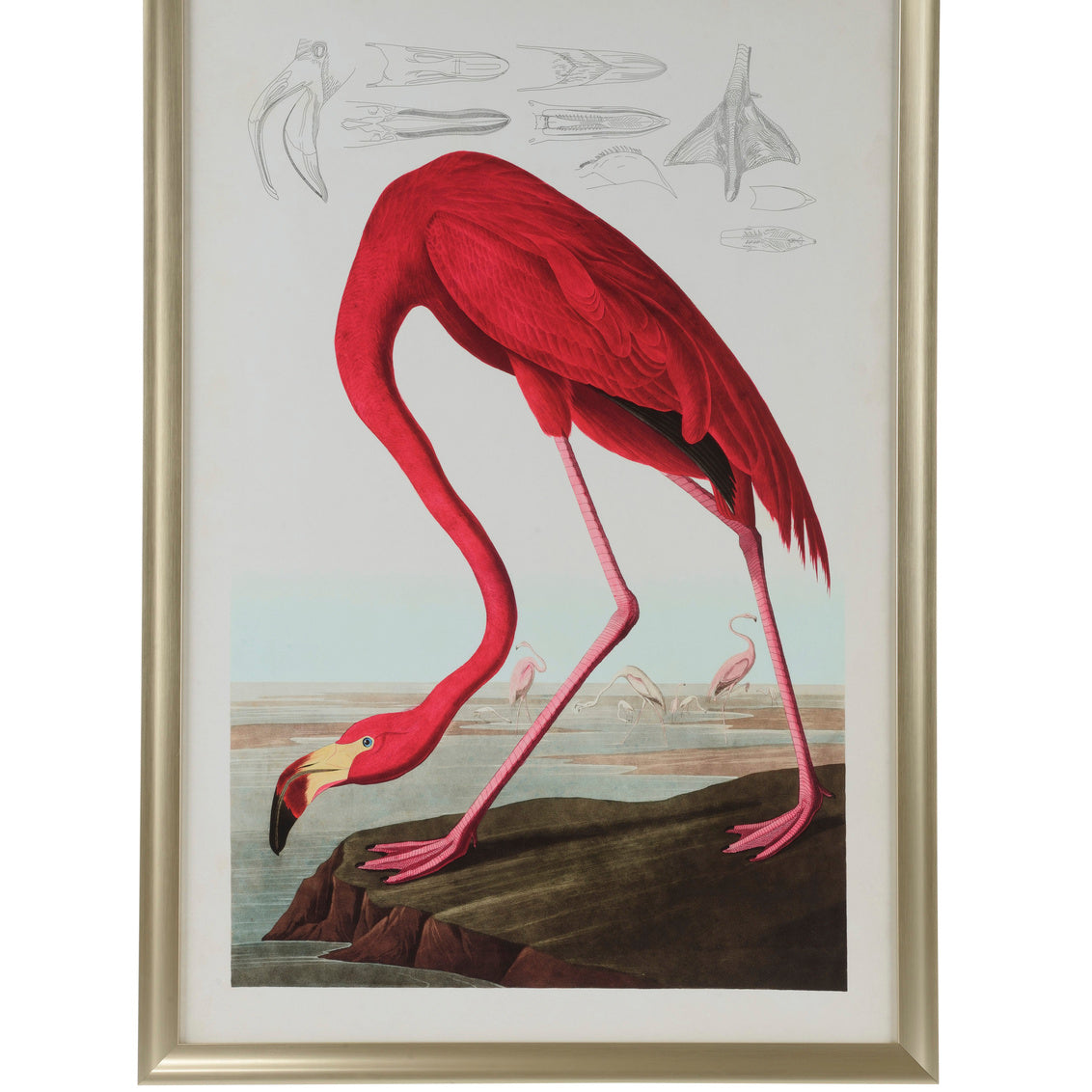 American Flamingo in 51h x 35w x 1.25d / Giclee - Chelsea House