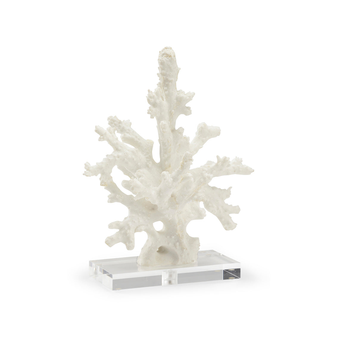 Coral Sculpture