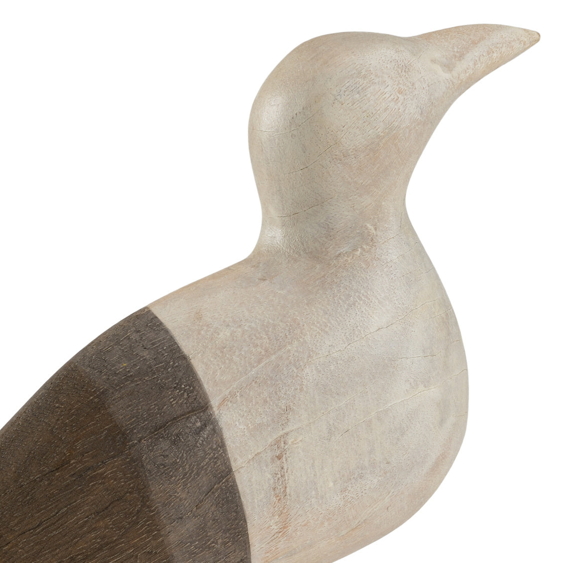 Shorebird (Lg)