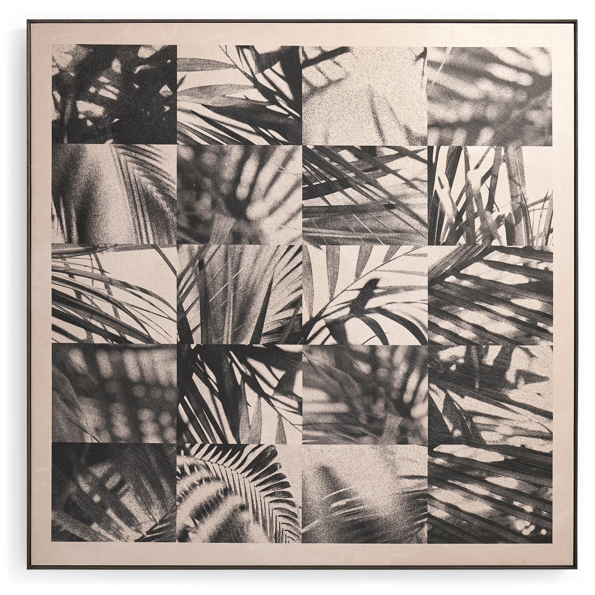 Palm Shadow