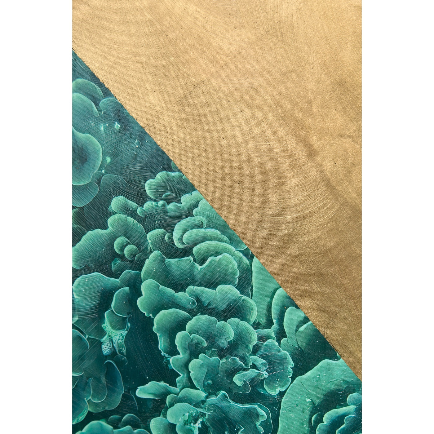 Emerald Coral