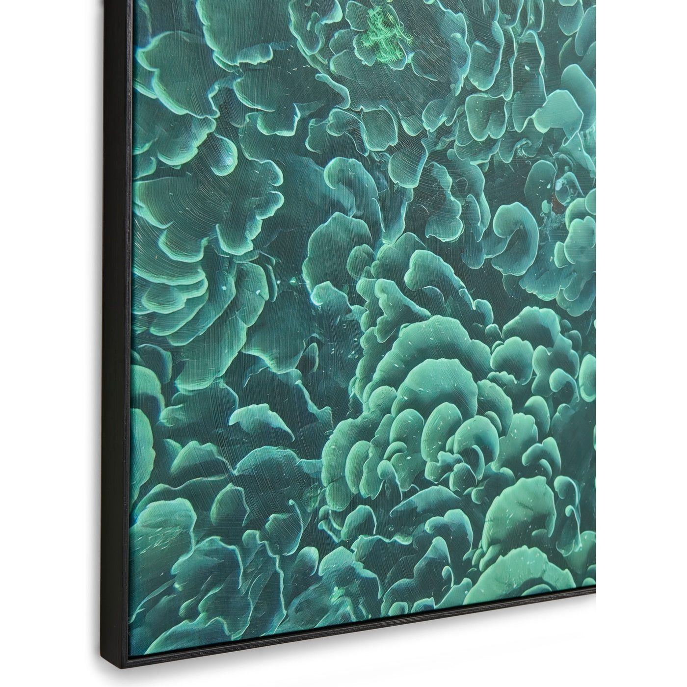 Emerald Coral