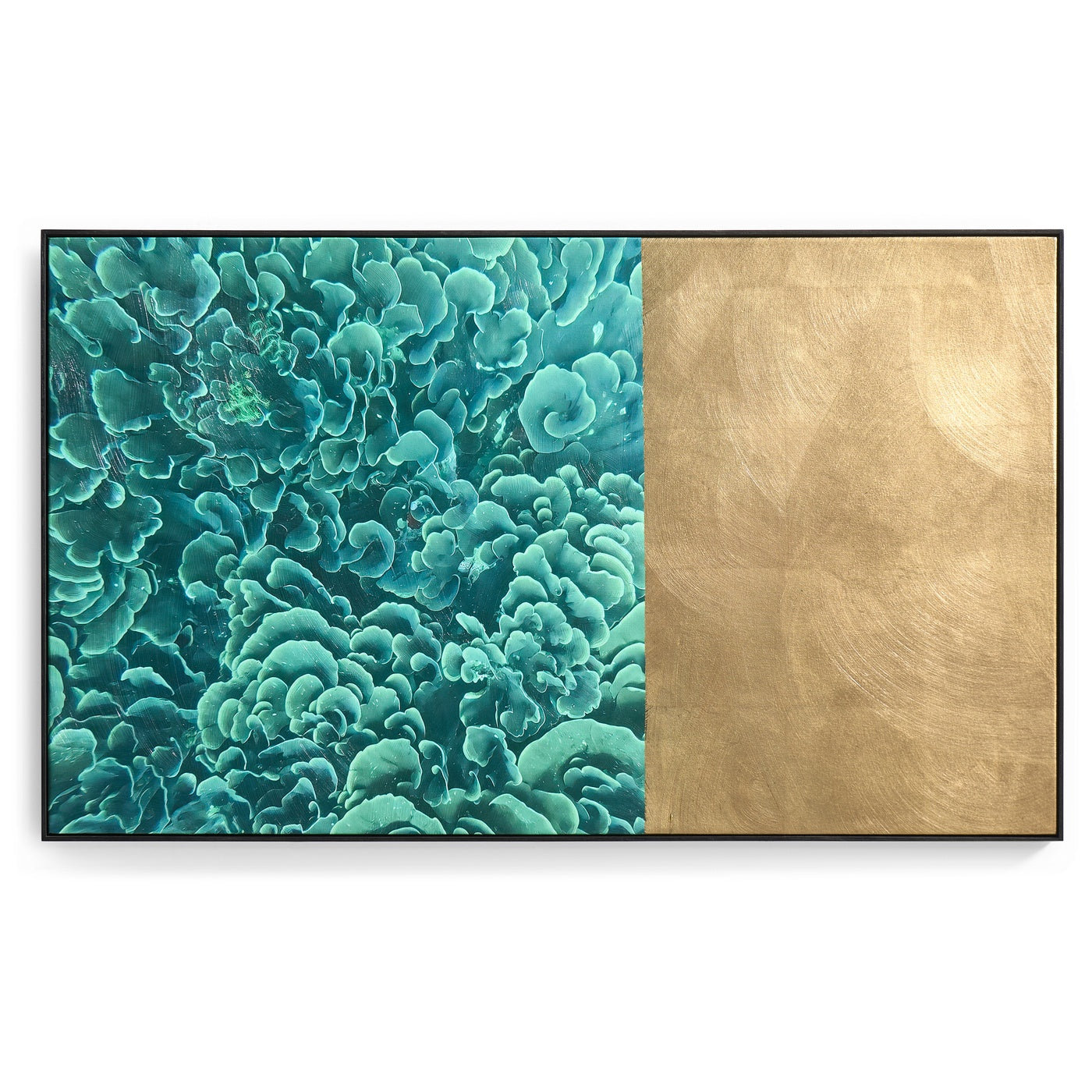 Emerald Coral