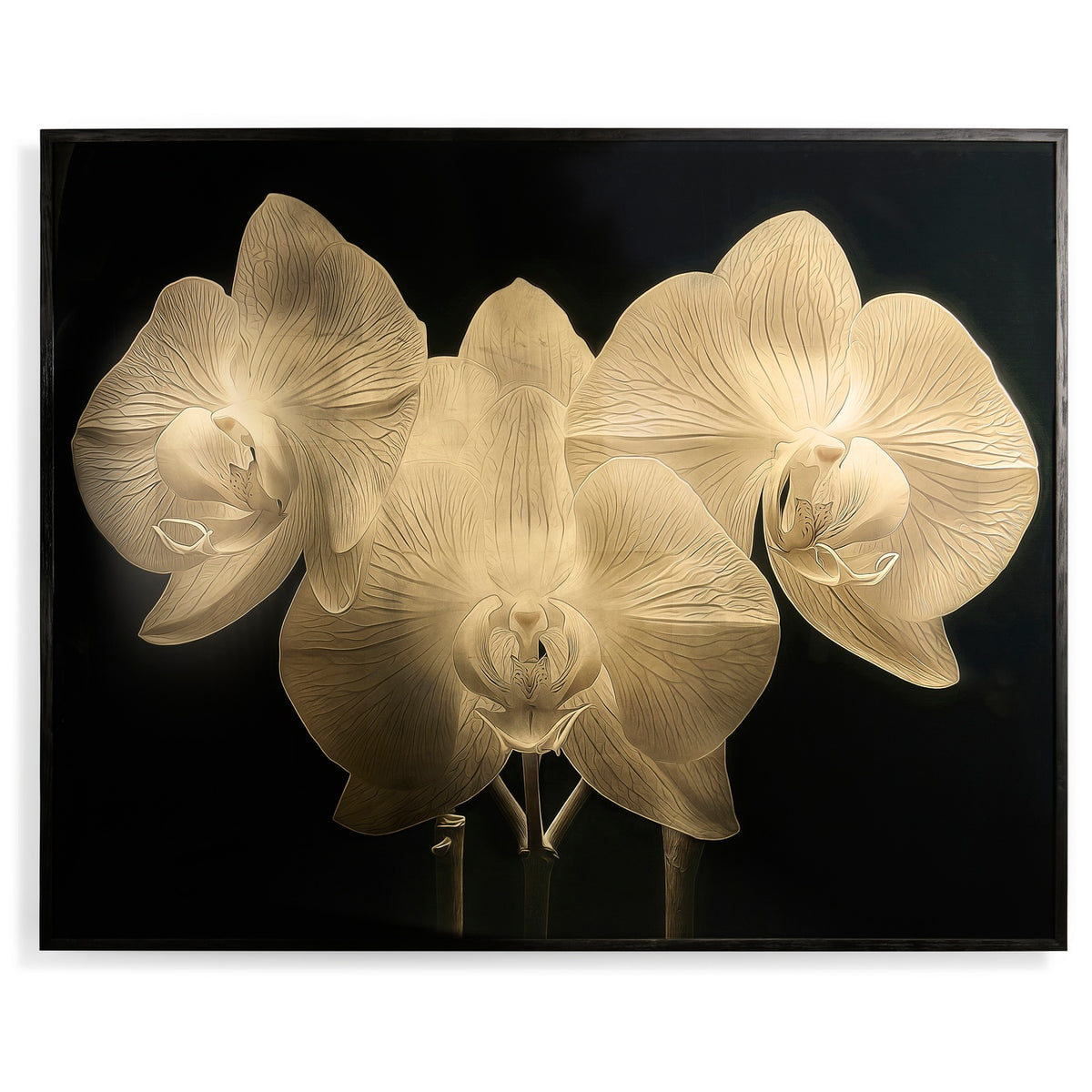 Gold Orchid