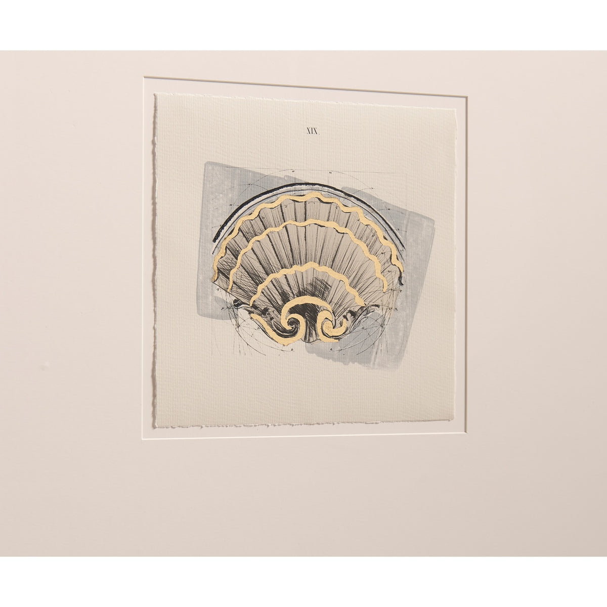 Architectural Clamshells - Set of 4