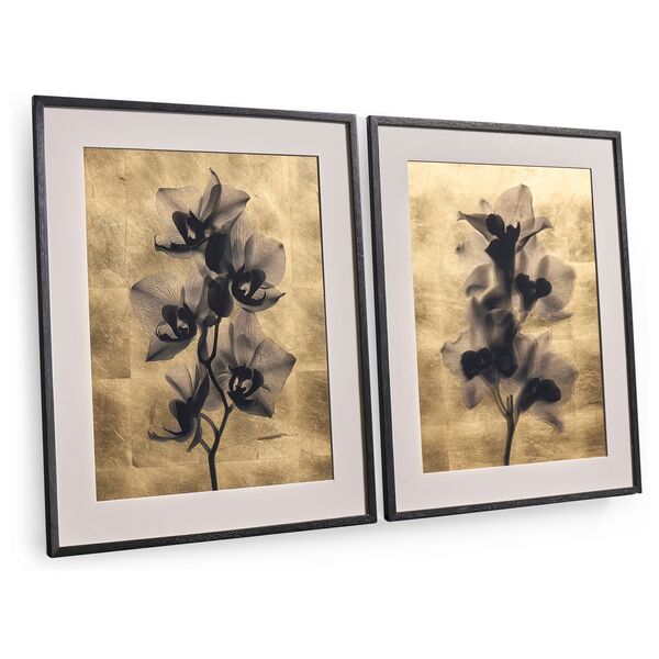 Black Orchids - Set of 2