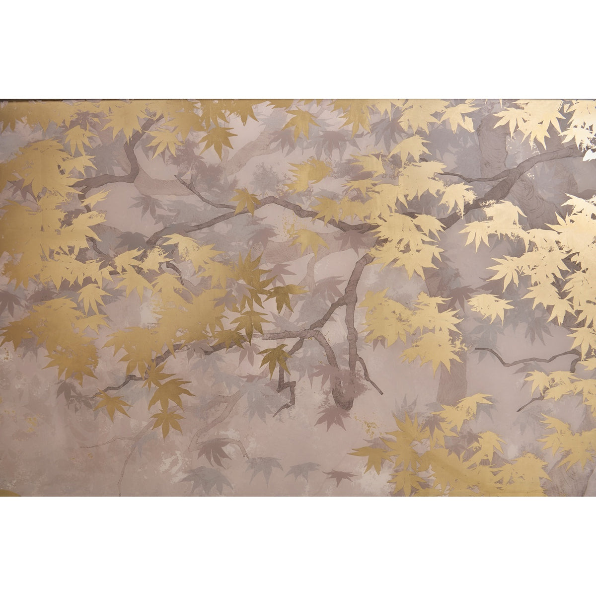Japanese Maple